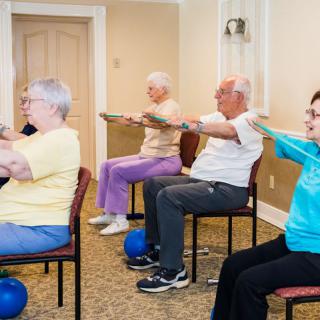 A group of seniors participating in a seated fitness class with exercise balls.