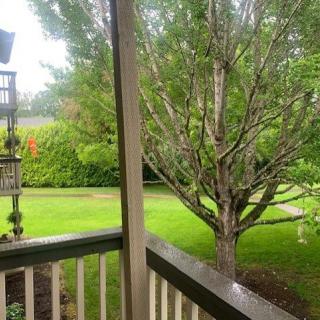 A view from the porch overlooking a lush garden with trees and grass.