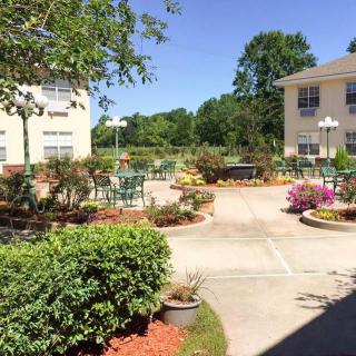 A beautifully landscaped courtyard with outdoor seating on a sunny day.