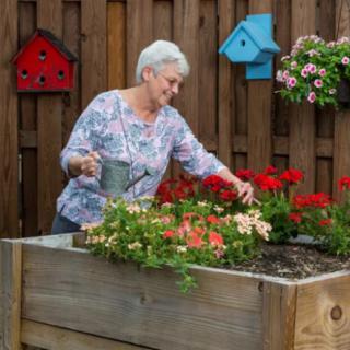 An elderly woman waters flowers in a raised garden bed, surrounded by colorful birdhouses.