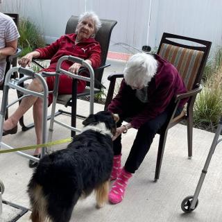 Two seniors sitting outdoors interacting with a dog.