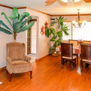 A cozy dining room with wooden flooring, featuring a table, chairs, and indoor plants for decoration.