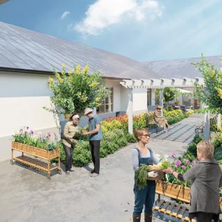 A community garden where people are tending to plants on a sunny day.