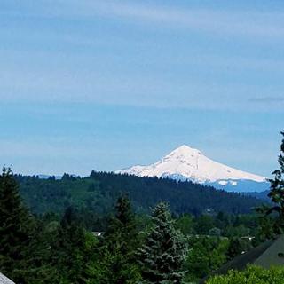 A scenic view of a snow-capped mountain surrounded by lush green trees.