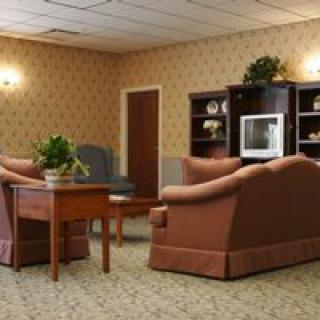 A cozy living room setup with sofas, a table, and a television on shelves, adorned with indoor plants.