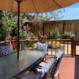 A cozy outdoor patio with a dining table shaded by an umbrella, surrounded by blooming flowers.