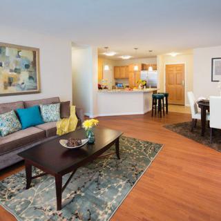 A modern apartment with an open living room, kitchen, and dining area featuring stylish decor and hardwood floors.