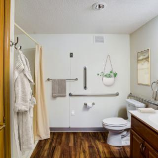 An accessible bathroom with grab bars, a shower, and wooden flooring.