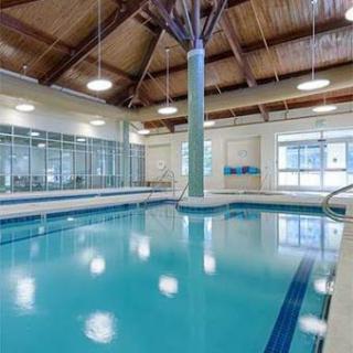An inviting indoor swimming pool with modern design and ample natural light.