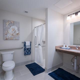 A modern bathroom with a shower, toilet, and sink, featuring blue accents and wall artwork.