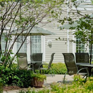 A serene outdoor patio area with chairs and tables surrounded by greenery.