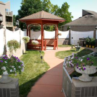 A garden featuring a pathway leading to a wooden gazebo, surrounded by vibrant flowers and greenery.