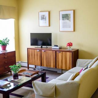 A cozy living room featuring a mid-century modern style with a comfortable sofa, wooden furniture, and decorative plants.