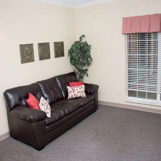 A cozy living room featuring a dark leather sofa with decorative pillows, a green plant, and framed artwork on the walls.
