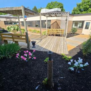 A sunny garden with colorful flowers and a wooden pergola pathway.