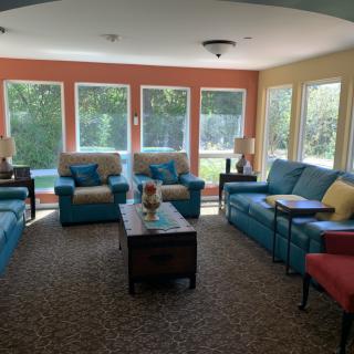 A cozy living room with ample natural light, featuring sofas and armchairs in a vibrant setting.