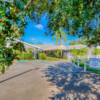 A sunny driveway leading to a house surrounded by lush greenery and a white fence.