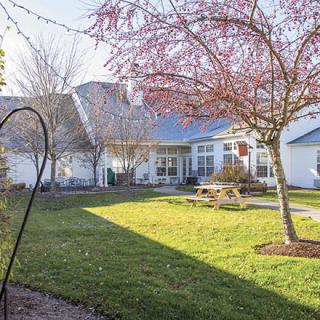 A well-maintained backyard with a lush lawn, trees, and a picnic table.