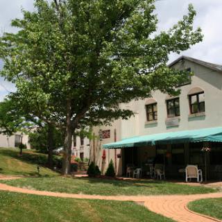 A serene outdoor view featuring a building surrounded by lush greenery and a winding pathway.
