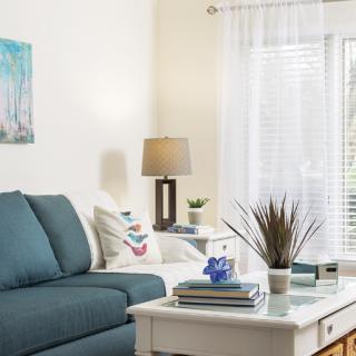 A cozy living room with a teal sofa, decorative cushions, a lamp, and a coffee table adorned with books and a plant.