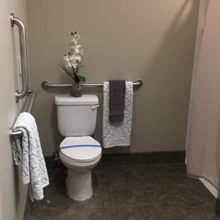 A well-organized accessible bathroom with decorative elements.