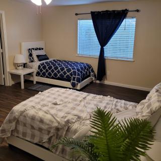 A cozy bedroom with two beds, a nightstand, and an indoor plant.