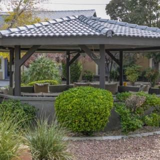 A serene garden setting featuring a wooden gazebo surrounded by lush greenery.