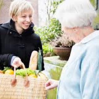 ComForcare Senior Services - SW Chicago