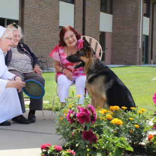A group of people sitting outside with a German Shepherd in front of a flower garden.