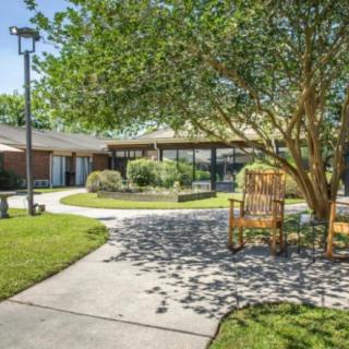 A peaceful garden with a winding pathway, benches under the shade of a tree.