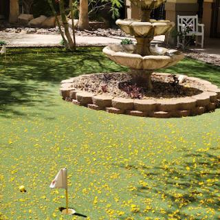 A serene garden featuring a beautiful fountain surrounded by lush greenery and colorful flowers.