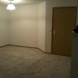 An empty room with carpet flooring, a wooden door, and a ceiling light fixture.