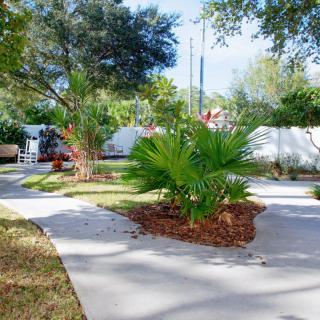 A beautifully landscaped garden with a palm plant and trees along a winding sidewalk on a sunny day.
