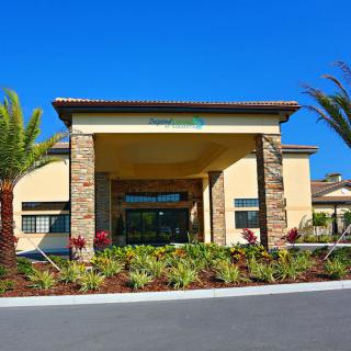 The entrance to a building surrounded by well-maintained landscaping and palm trees.