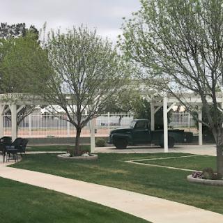 A tranquil outdoor space featuring a pathway, trees, and a sheltered picnic area with a truck parked nearby.