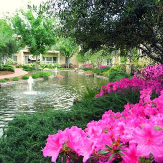 A serene view of a garden adorned with vibrant pink flowers next to a tranquil pond.