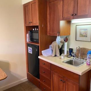 A compact kitchenette featuring wooden cabinets, a sink, microwave, and refrigerator.