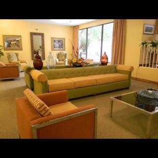 Modern living room with stylish furniture and large windows.