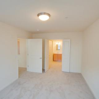 A bright and empty bedroom with carpet flooring and an open door leading to a closet.