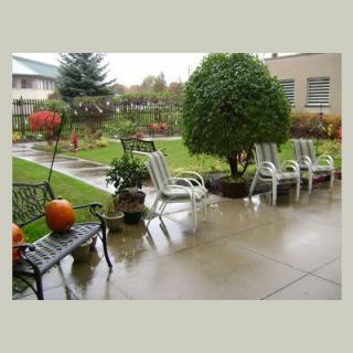 A rainy day view of a garden patio with chairs, pumpkins, and lush greenery.