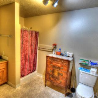 A well-lit bathroom featuring a shower with a curtain, a toilet, and a wooden vanity.