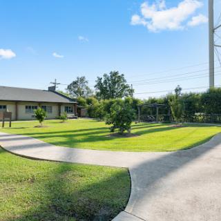 A serene view of a well-maintained garden with a house in the background under a clear blue sky.