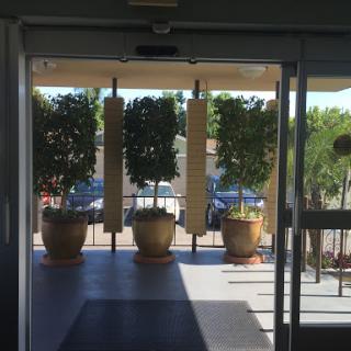 A bright entrance showcasing potted plants and an inviting outdoor view.