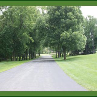 A peaceful road surrounded by lush green trees and grass.