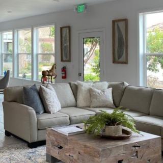 A modern living room with a cozy sofa and a wooden coffee table adorned with an indoor plant, illuminated by natural light from surrounding windows.