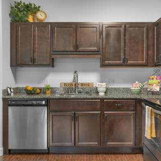 A modern kitchen featuring dark wooden cabinets, a stainless steel dishwasher, and a granite countertop adorned with fruits.