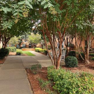 A tranquil garden pathway lined with trees and lush greenery.
