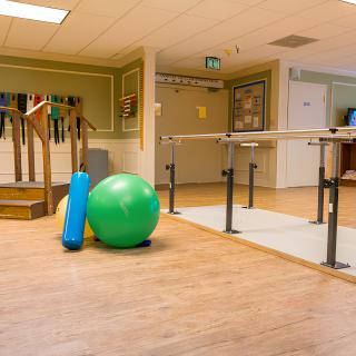 A physical therapy room equipped with exercise balls and parallel bars.