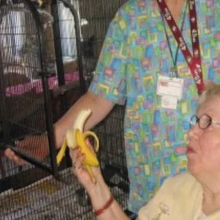 An elderly woman and a volunteer feeding a bird in a cage with a banana.