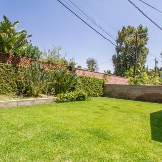 A well-maintained backyard with a lush green lawn and various plants along the fence.